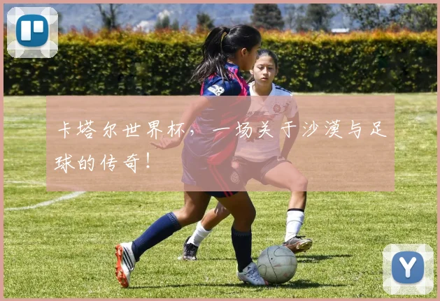 卡塔尔世界杯，一场关于沙漠与足球的传奇！